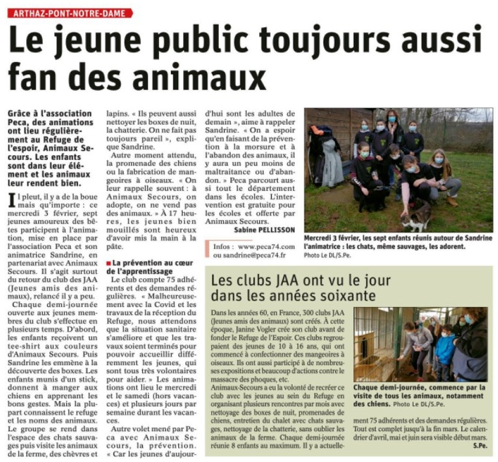 Article DL du 08 février 2021