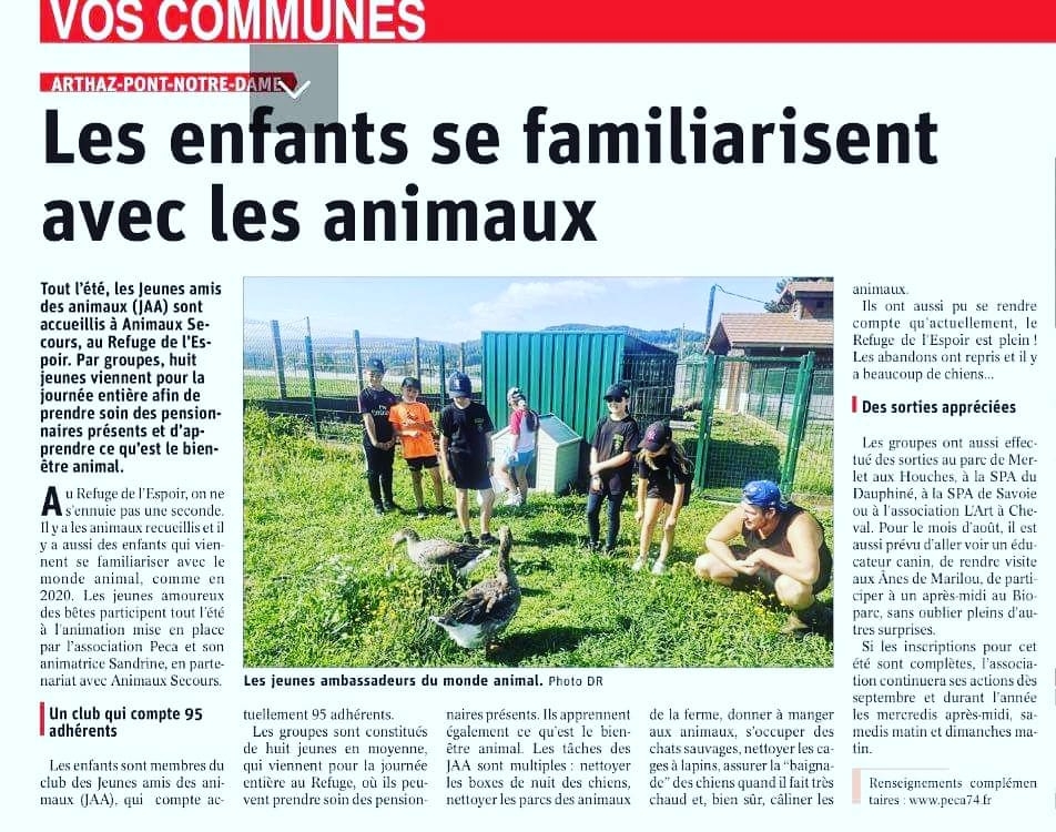 Article DL du 26 juillet 2021