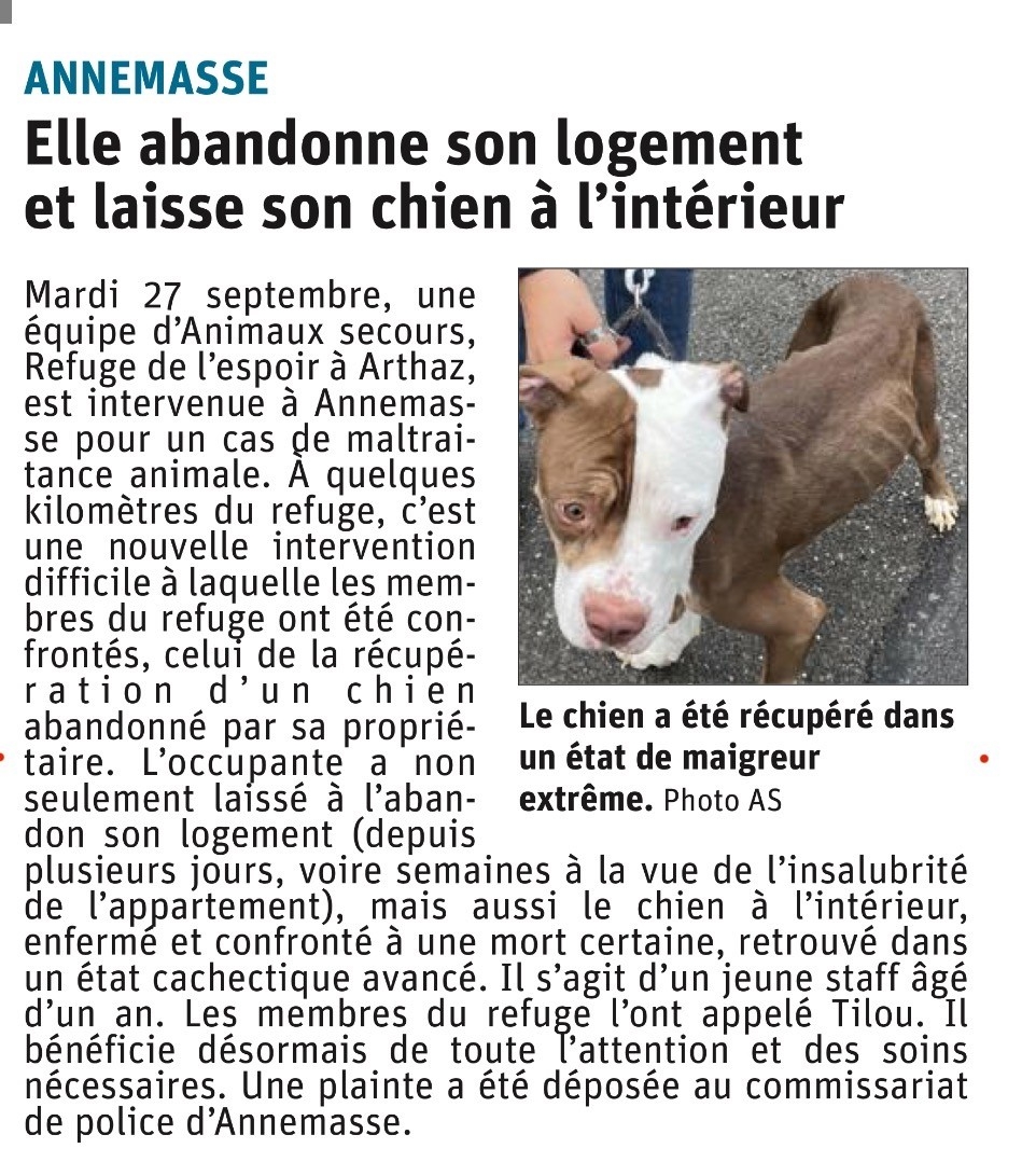 Article DL du 28/09/2022